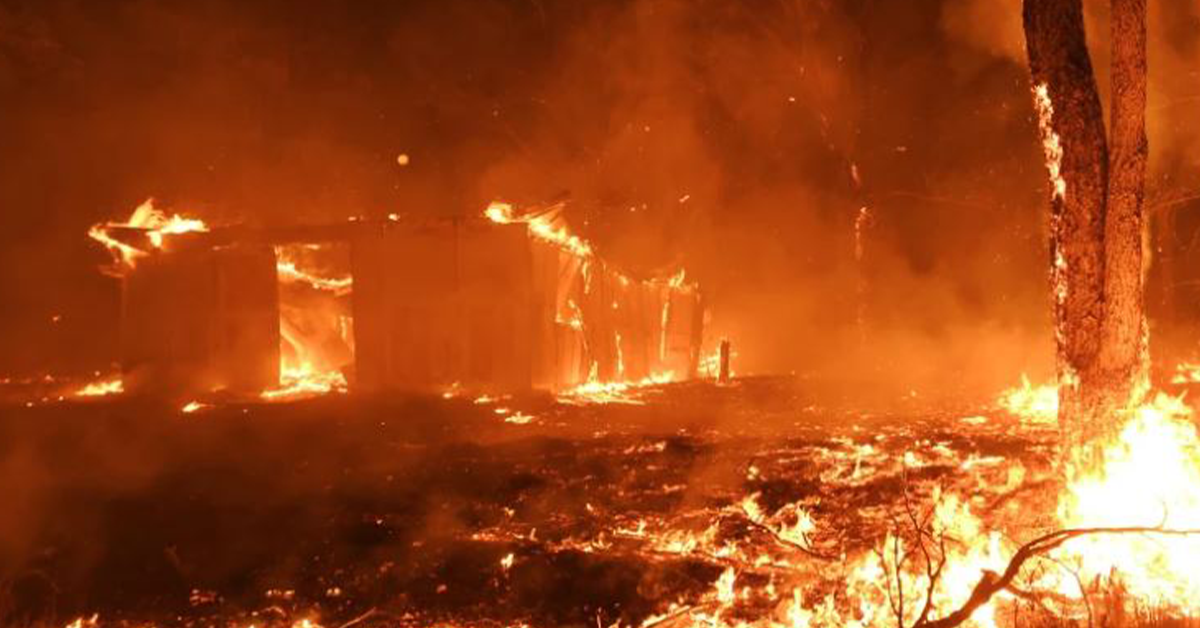 master-builders-donates-150000-to-bushfire-relief